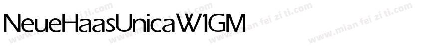 NeueHaasUnicaW1G Medium字体转换